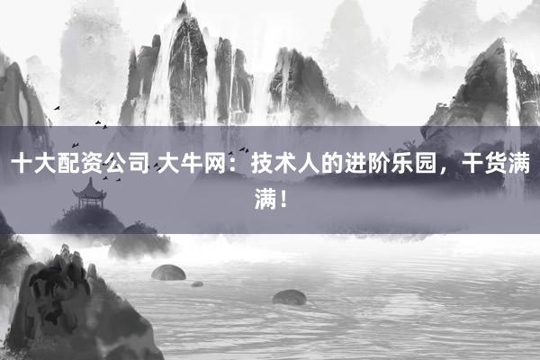 十大配资公司 大牛网：技术人的进阶乐园，干货满满！