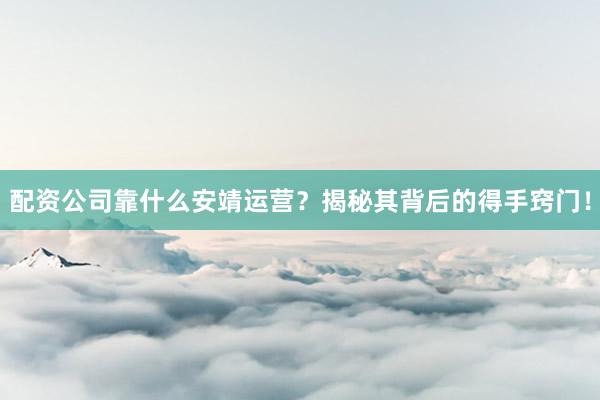 配资公司靠什么安靖运营?揭秘其背后的得手窍门!