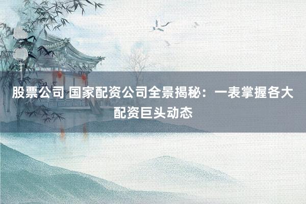 股票公司 国家配资公司全景揭秘：一表掌握各大配资巨头动态