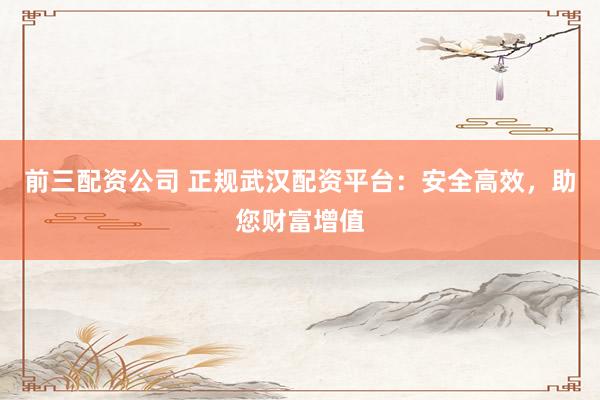前三配资公司 正规武汉配资平台：安全高效，助您财富增值
